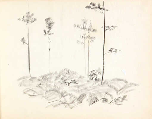 Расторгуев Сергей Николаевич. Альбом с пейзажами южного города, портретами и юмористическими зарисовками. 26 листов.